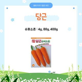 아시아종묘님의 자유주제 · 자유게시판 작성글 사진