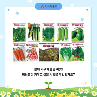 아시아종묘님의 자유주제 · 자유게시판 작성글 사진