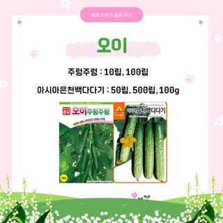 아시아종묘님의 자유주제 · 자유게시판 작성글 사진