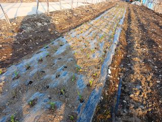 알 수 없음님의 자유주제 · 자유게시판 작성글 사진