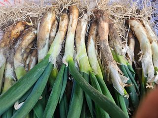 법선님의 자유주제 · 자유게시판 작성글 사진