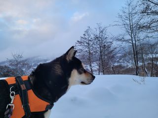 함봉천님의 자유주제 · 자유게시판 작성글 사진