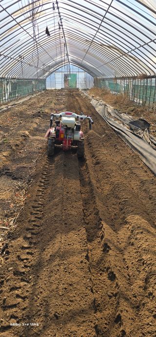 ♡청심전유삼♡님의 자유주제 · 자유게시판 작성글 사진