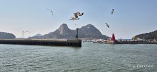 달맛햇복숭아농원님의 자유주제 · 자유게시판 작성글 사진