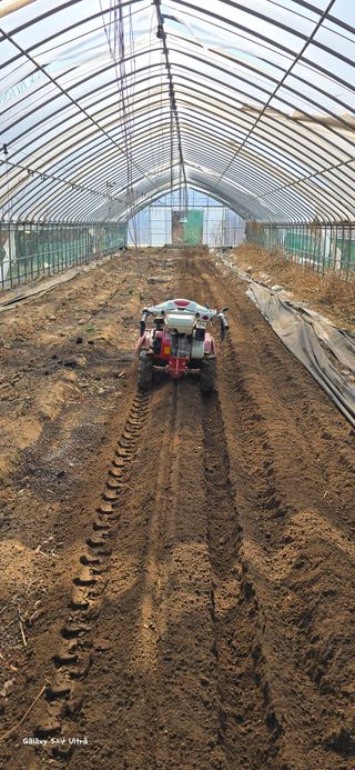 ♡청심전유삼♡님의 자유주제 · 자유게시판 작성글 사진