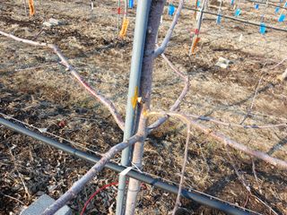 알 수 없음님의 자유주제 · 자유게시판 작성글 사진