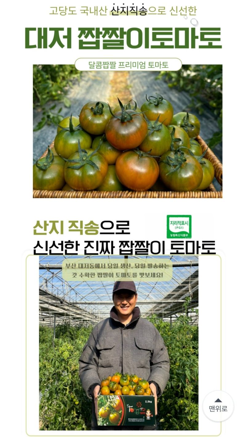 정길영님의 장터 판매 상품 [대저 짭짤이 토마토 소과 S 중과 M 대과L] 첨부 사진