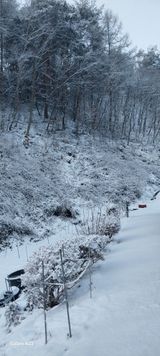 팜모닝 자유주제·자유게시판 게시글 이미지