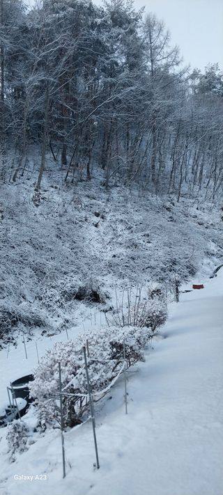 이일철 (조이산골)님의 자유주제 · 자유게시판 작성글 사진