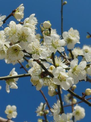 안길원님의 자유주제 · 자유게시판 작성글 사진