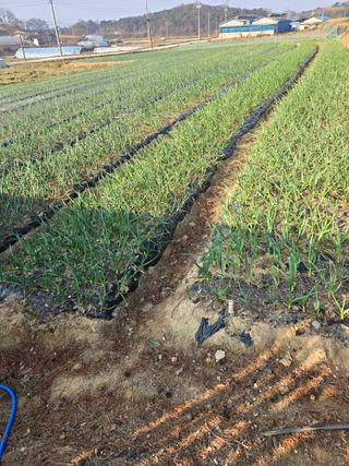 자연인님의 자유주제 · 자유게시판 작성글 사진