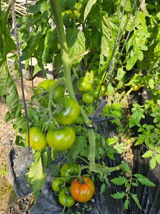 정길영님의 작성글 사진