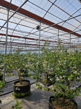 제주 지안이네농장님의 자유주제 · 자유게시판 작성글 사진