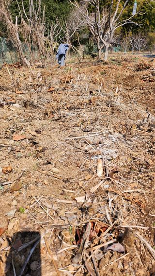 덕포킴님의 자유주제 · 자유게시판 작성글 사진