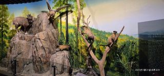 달맛햇복숭아농원님의 자유주제 · 자유게시판 작성글 사진