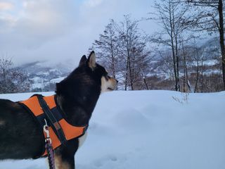 함봉천님의 자유주제 · 자유게시판 작성글 사진