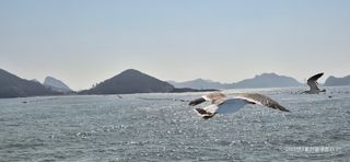 달맛햇복숭아농원님의 자유주제 · 자유게시판 작성글 사진