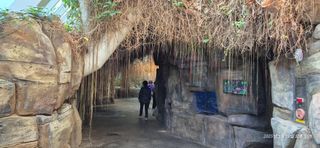 달맛햇복숭아농원님의 자유주제 · 자유게시판 작성글 사진