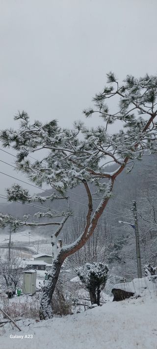 이일철 (조이산골)님의 자유주제 · 자유게시판 작성글 사진