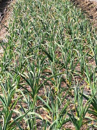 한수연님의 자유주제 · 자유게시판 작성글 사진