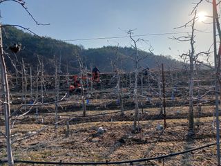알 수 없음님의 자유주제 · 자유게시판 작성글 사진