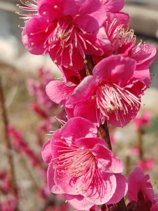 안길원님의 자유주제 · 자유게시판 작성글 사진