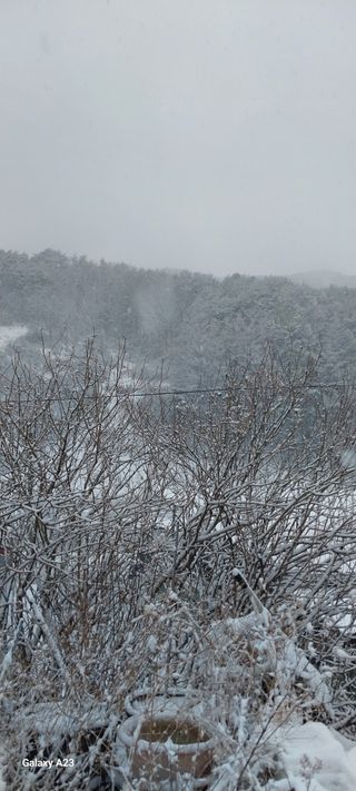 이일철 (조이산골)님의 자유주제 · 자유게시판 작성글 사진