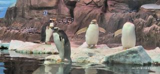 달맛햇복숭아농원님의 자유주제 · 자유게시판 작성글 사진