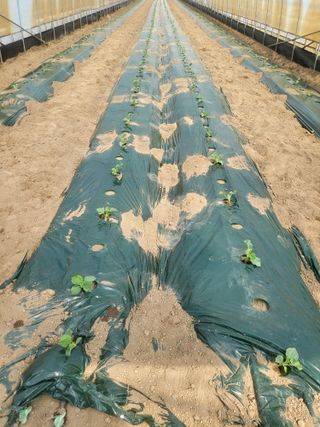 엄마와딸농장님의 자유주제 · 자유게시판 작성글 사진