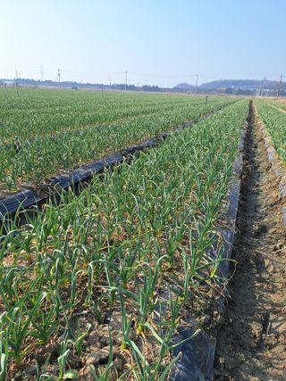 한수연님의 자유주제 · 자유게시판 작성글 사진