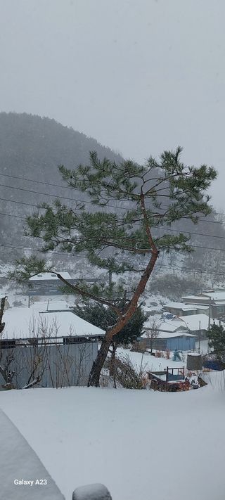 이일철 (조이산골)님의 자유주제 · 자유게시판 작성글 사진