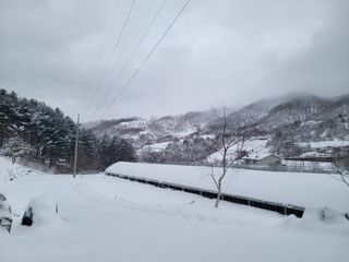 함봉천님의 자유주제 · 자유게시판 작성글 사진