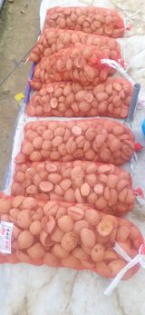 팜모닝 · 게시글 이미지