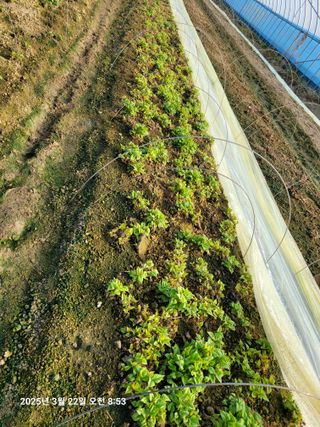 이동훈님의 자유주제 · 자유게시판 작성글 사진
