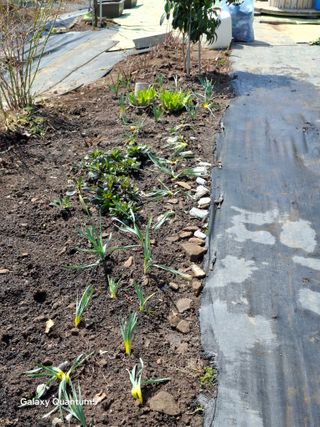 이세순님의 자유주제 · 자유게시판 작성글 사진