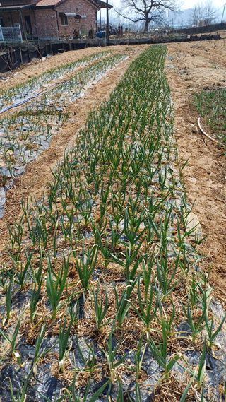 박순덕님의 자유주제 · 자유게시판 작성글 사진