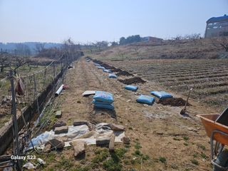 흥부네땅님의 자유주제 · 자유게시판 작성글 사진