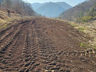 백용기님의 자유주제 · 자유게시판 작성글 사진