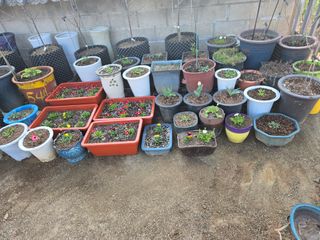 자연인님의 자유주제 · 자유게시판 작성글 사진