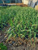 팜모닝 자유주제·자유게시판 게시글 이미지