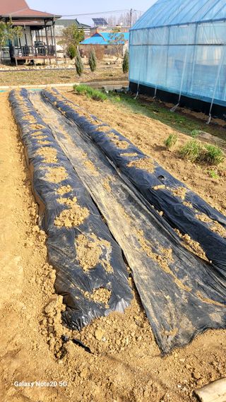 제주농부님의 자유주제 · 자유게시판 작성글 사진