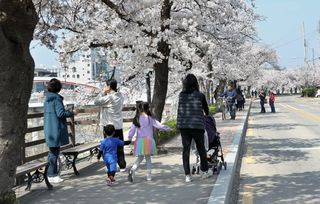 국중선님의 자유주제 · 자유게시판 작성글 사진