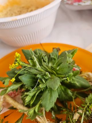 홍박사님의 자유주제 · 자유게시판 작성글 사진