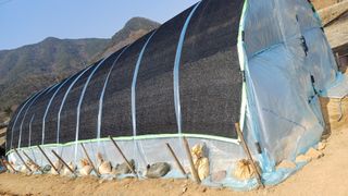 박순덕님의 자유주제 · 자유게시판 작성글 사진