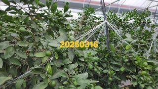 元齊金省洪님의 자유주제 · 자유게시판 작성글 사진