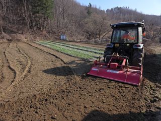 박천규 님의 마늘 웃거름 주셨나요? · 참여글 작성글 사진