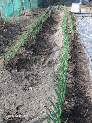 이세순님의 자유주제 · 자유게시판 작성글 사진