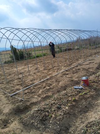 식만동 복합영농님의 자유주제 · 자유게시판 작성글 사진