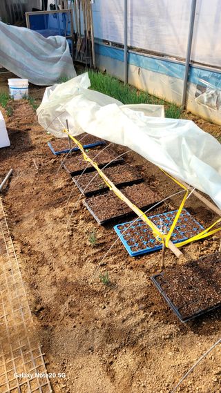 제주농부님의 자유주제 · 자유게시판 작성글 사진