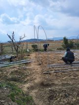 팜모닝 자유주제·자유게시판 게시글 이미지